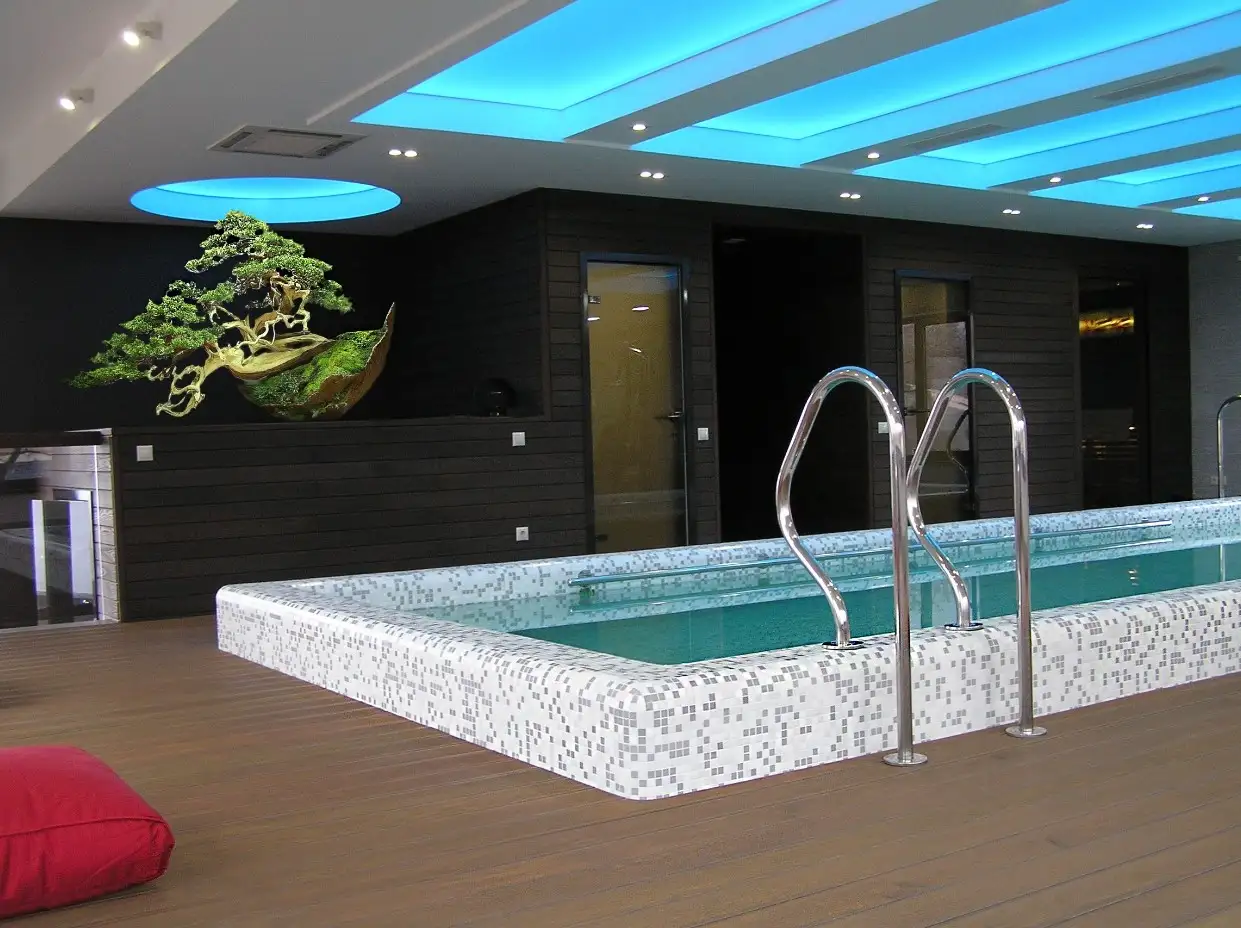 SPA contemporary — фото 1